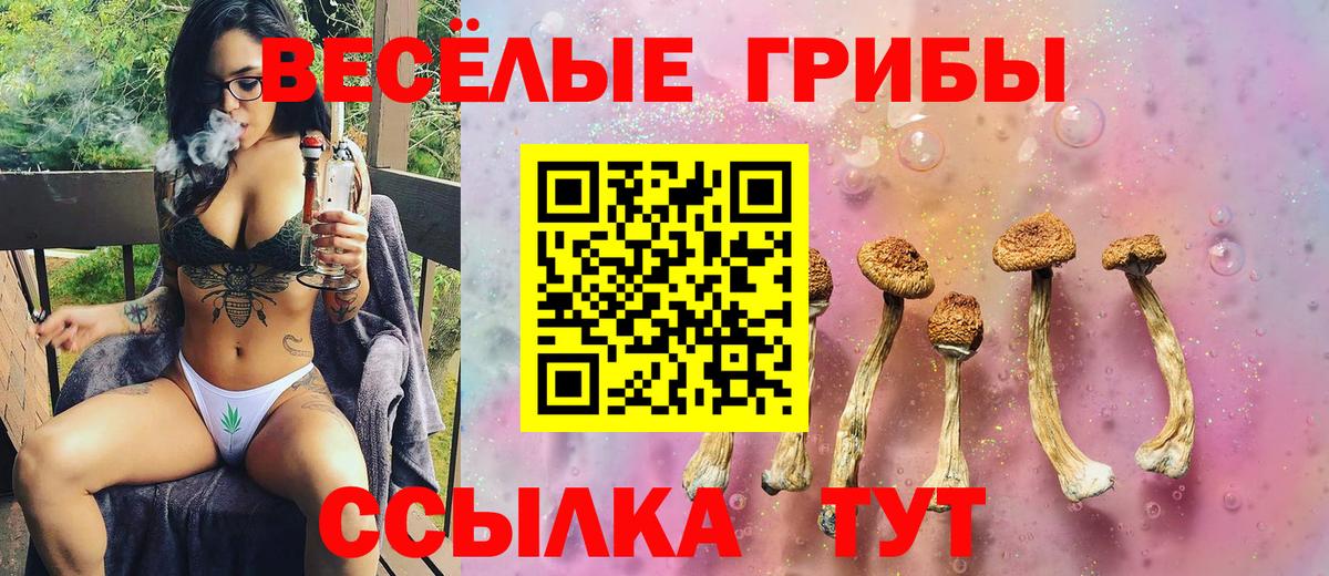 Похвистнево  даркнет сайт  Вход с VPN  Галлюциногенные грибы GOLDEN TEACHER 